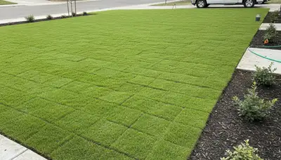Freshly installed green sod lawn showing instant landscape transformation in Fresno, CA