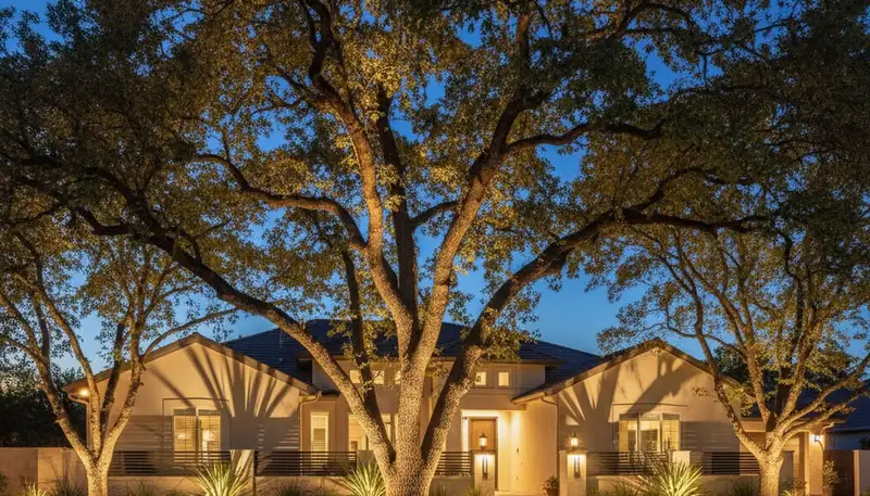 Mature trees uplighted at night showcasing professional landscape lighting design in Fresno, CA